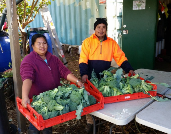 Horticulture permaculture farm wollongong Green connect